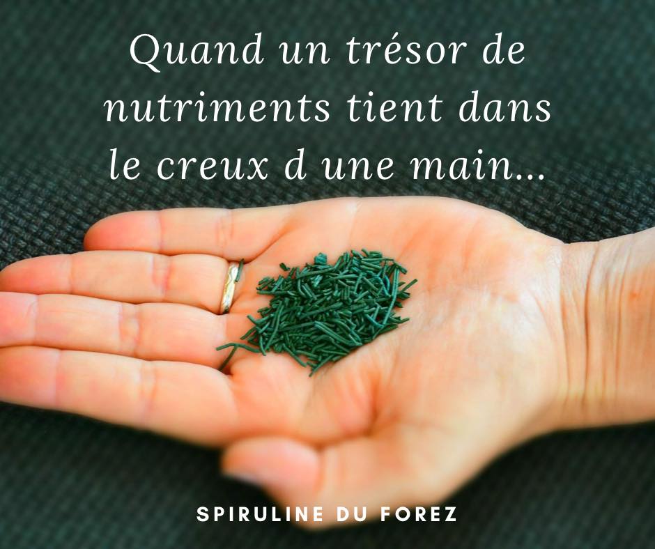 Détox Après Les Fêtes Avec La Spiruline